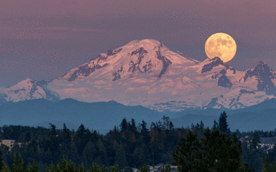 Notes from Whidbey Island