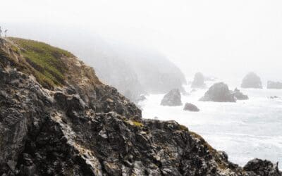 Resilience: Living Beyond Fear with the Coronavirus
