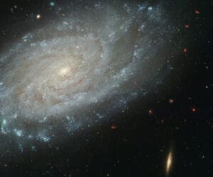 Physicist Tom Nash on M-Theory and the Cosmos