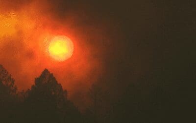North Bay Fires: Commonweal Voices